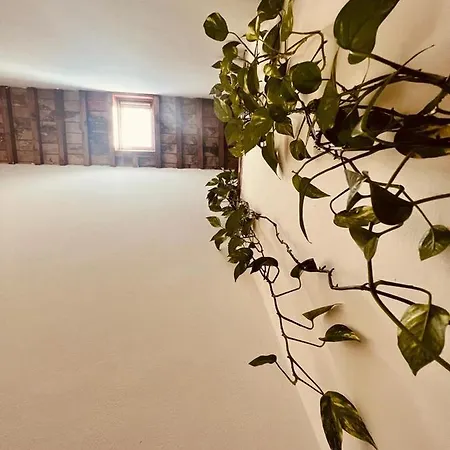 Dal Fata Hotel